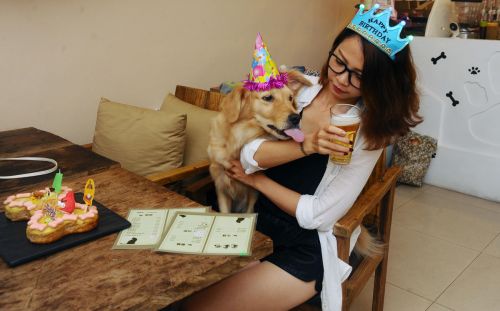 9d93444a1b59ceff542dbcdf51d38d0d