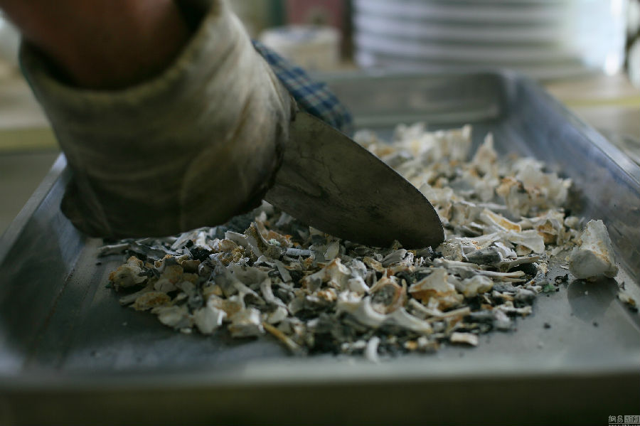 4ae56bc943225206ba0719e0a407e055