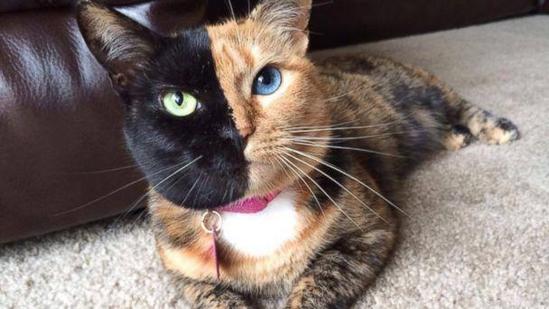 96c91acfb119e1ce1a0beb77352a20d3