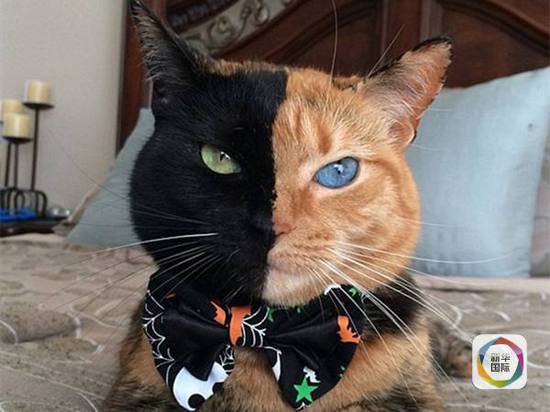 d66c3980dfcaf50769a1c923fb1954ef