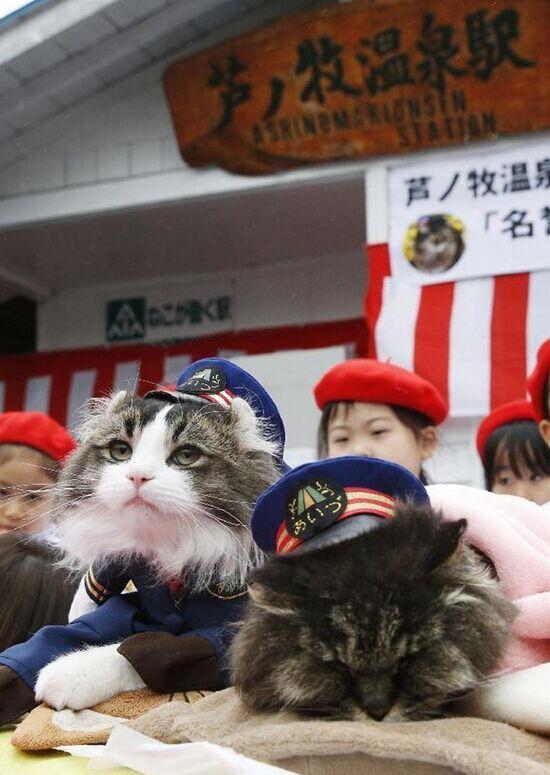 130df4e7f8061906dcb410dab5f28676