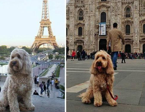 440f025ac02a8053a5a48e162ed59398