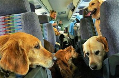 7b7793773152c5df07e13b3554c89d45