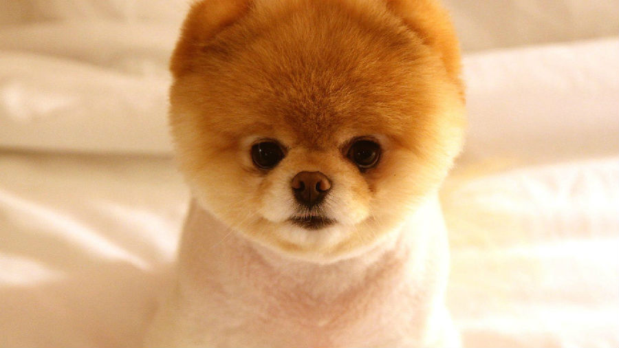 8eb079950f5aaf9ef8bc624e984f4486