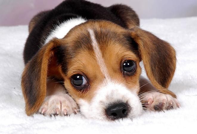 ed118f85028f9757f8e0bba4079409e0