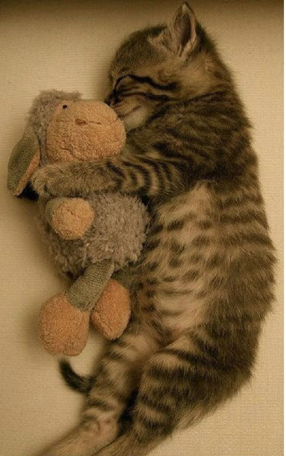 e72f4a76a18224e16f4db5b5f6a71522