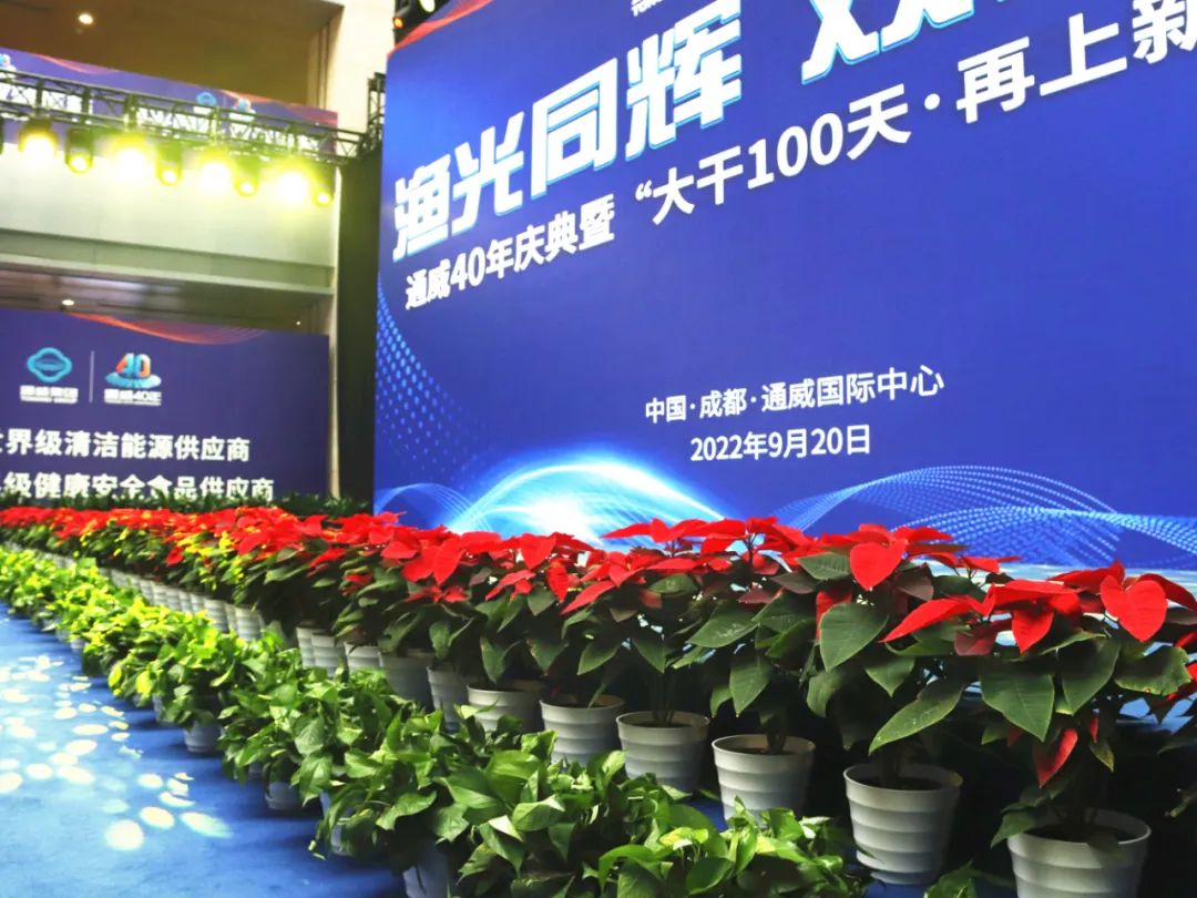 17022d01c947153dd873dac3f9176f81