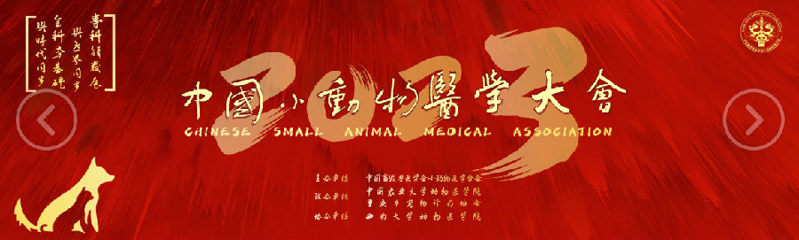 b437f70bda682a062fb6a67b47d7c3df